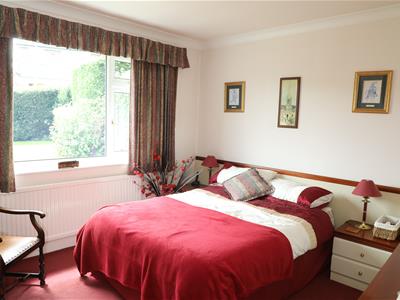 Picture 12